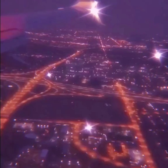 Meet your Posher, Sidney - Picture 2 of 3